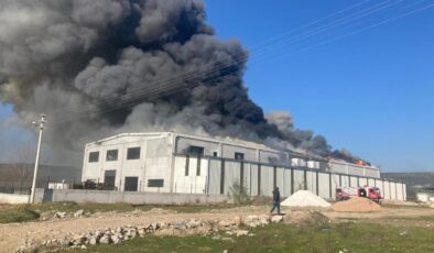 İzmir’de narenciye deposunda yangın çıktı
