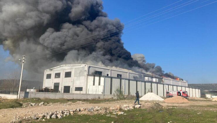 İzmir’de narenciye deposunda yangın çıktı