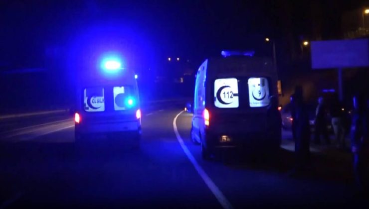 Tarsus’ta Elektrik Direğine Çarpan Panelvanda 2 Ölü, 3 Yaralı