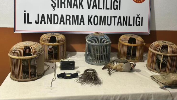 Yasa Dışı Keklik Avına 122 Bin 630 Lira Ceza!