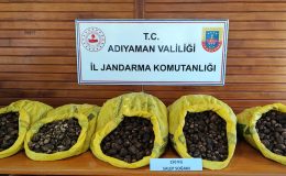 Adıyaman’da Kaçak Salep Soğanı Toplayanlara Yüksek Para Cezası