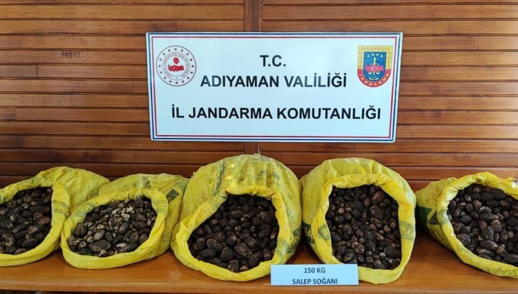 Adıyaman’da Kaçak Salep Soğanı Toplayanlara Yüksek Para Cezası