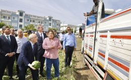  Adana’da sezonun ilk karpuz hasadı başladı