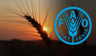 Türkiye, FAO konsey üyeliğine seçildi