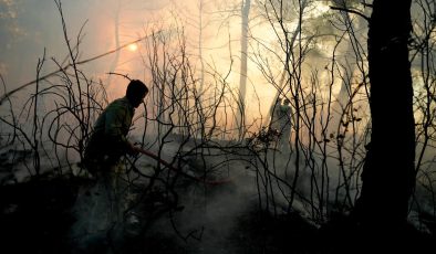 İzmir’de yangına müdahale devam ediyor