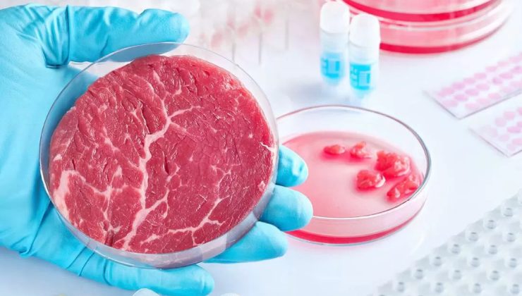 Bakanlık’tan açıklama geldi: Türkiye’de Yapay Et Üretimi Yok
