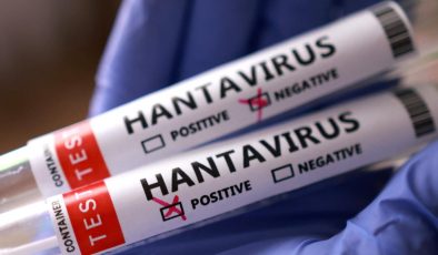 AB, hantavirüse karşı aşı ve tedavi yöntemleri geliştiriyor